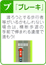 ゼブラ・ストップ活動