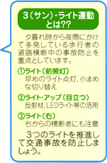 ゼブラ・ストップ活動